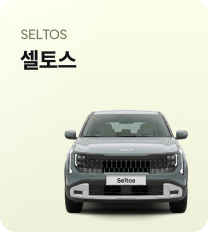 셀토스