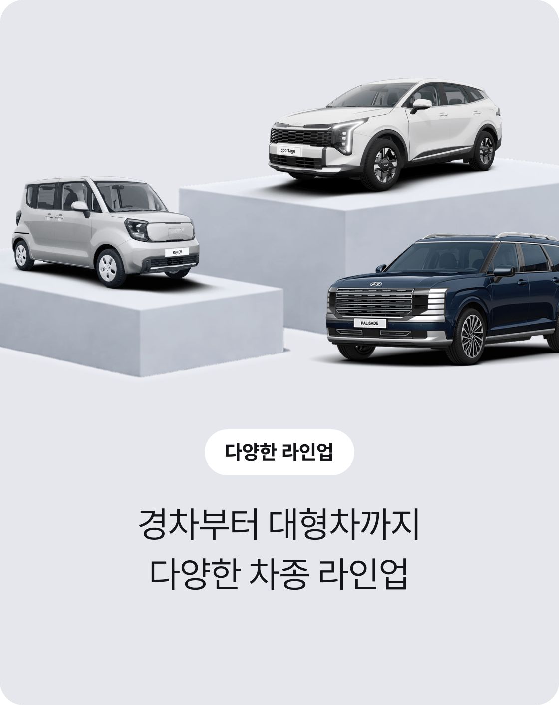 경차부터 대형차까지 다양한 차종 라인업